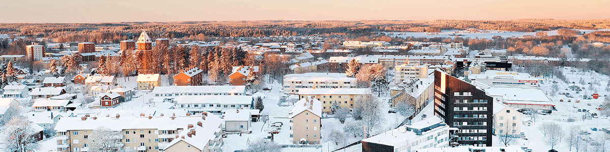 Avesta kommun